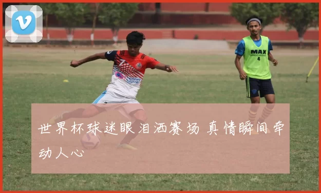 世界杯球迷眼泪洒赛场 真情瞬间牵动人心