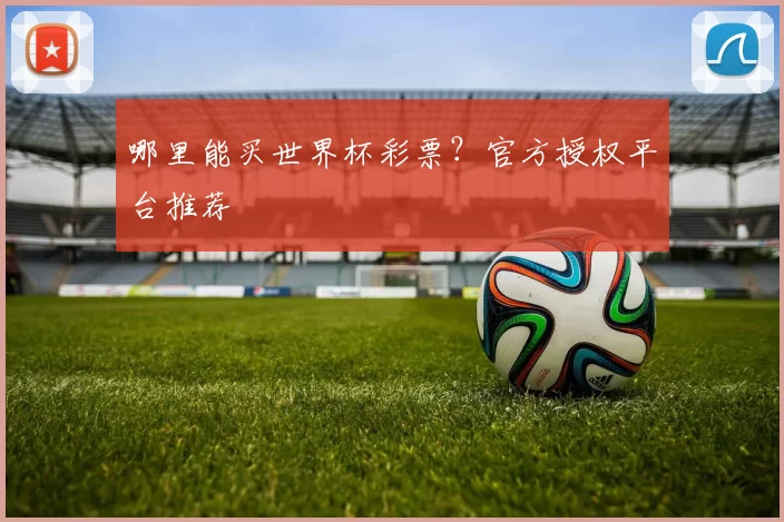 哪里能买世界杯彩票?官方授权平台推荐