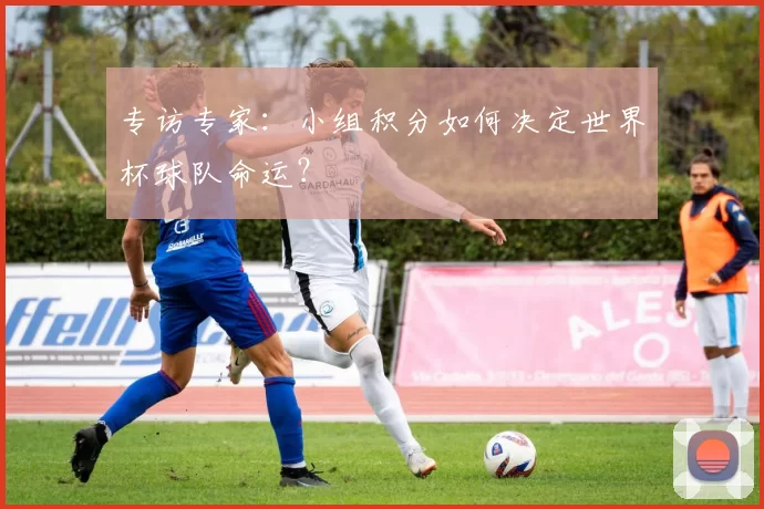 专访专家：小组积分如何决定世界杯球队命运？