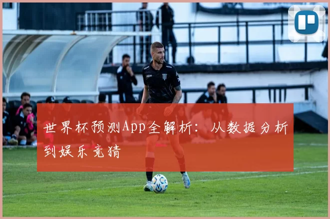 世界杯预测App全解析:从数据分析到娱乐竞猜