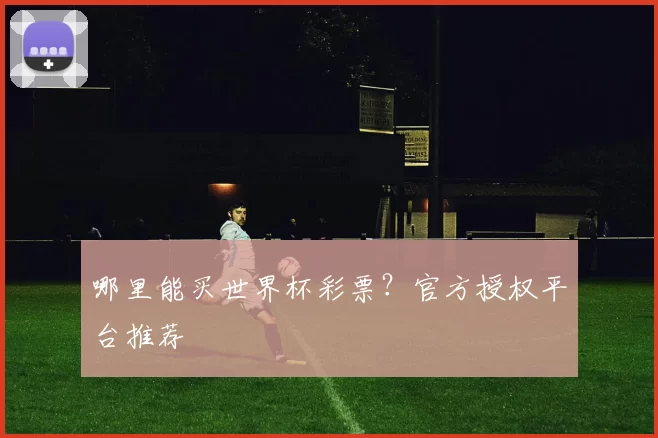 哪里能买世界杯彩票?官方授权平台推荐