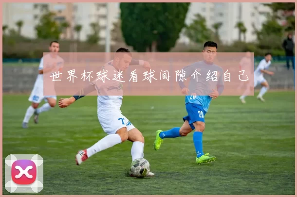 世界杯球迷看球间隙介绍自己