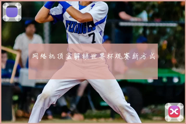 网络机顶盒解锁世界杯观赛新方式
