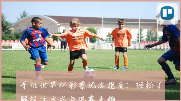 手机世界杯彩票玩法指南：轻松了解投注方式与观赛乐趣